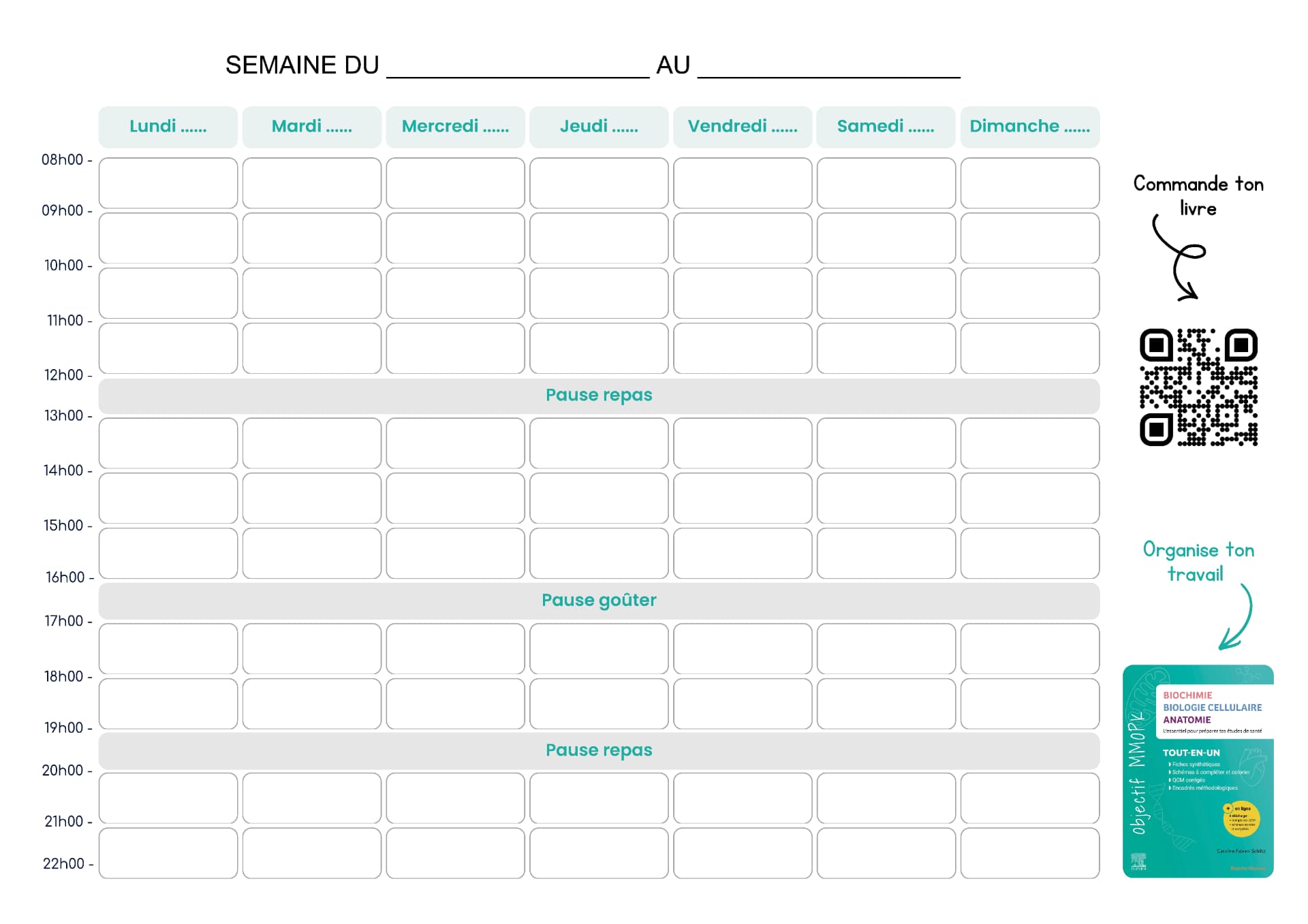 Aperçu — Planning hebdomadaire — vierge