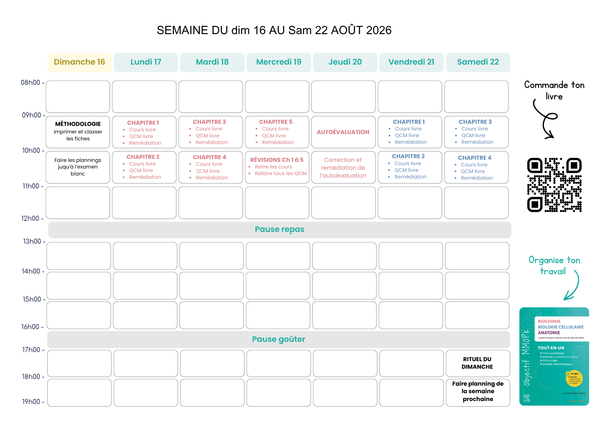 Aperçu — Planning hebdomadaire type